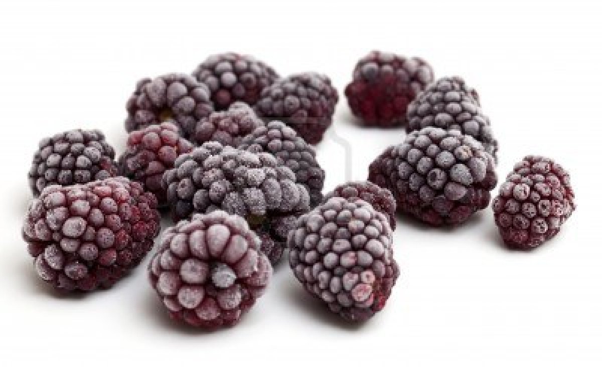 Blackberry - VITALFRUT CHILE LTDA.